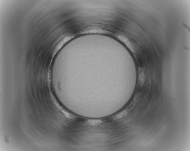 X0000097821282200804111007