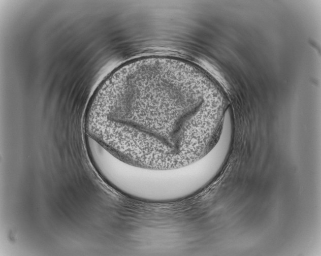 X0000097821283200804111007