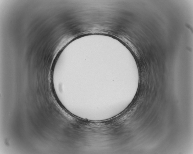 X0000097821285200804111007