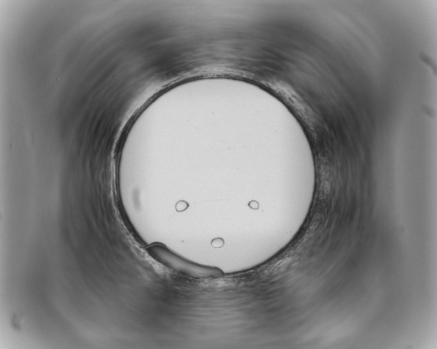 X0000097821286200804111007