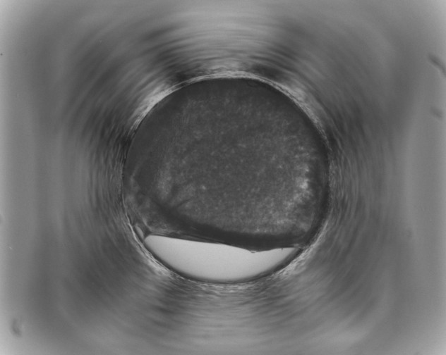 X0000097821289200804111007