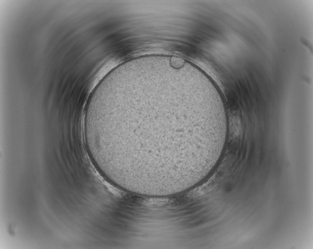 X0000097821290200804111007