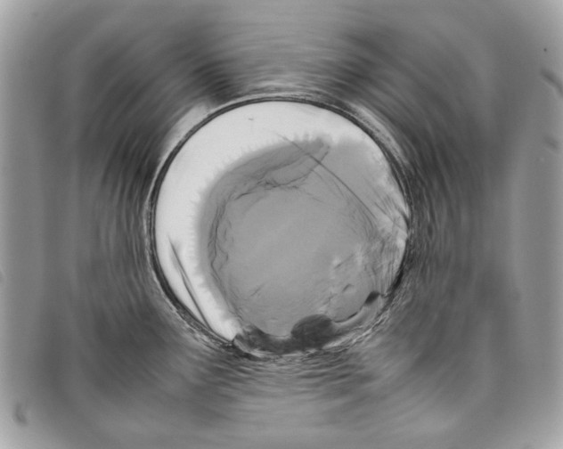 X0000097821291200804111007