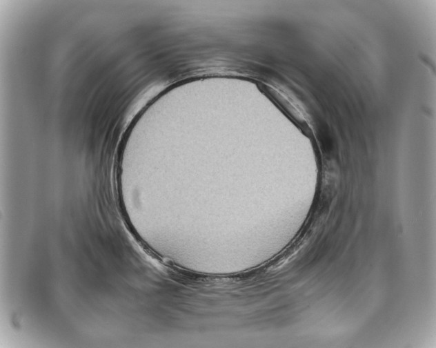 X0000097821293200804111007