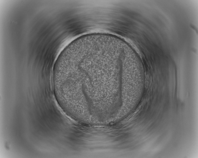 X0000097821295200804111007