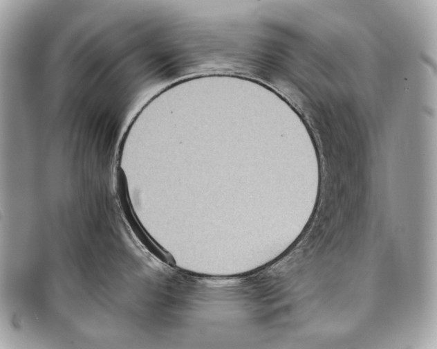 X0000097821296200804111007