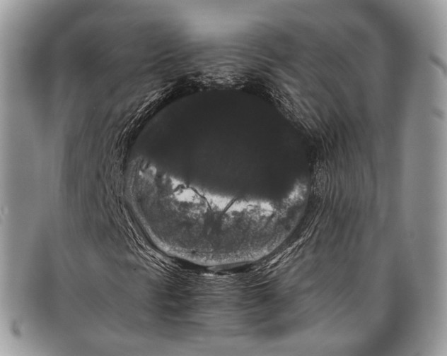 X0000097821297200804111006