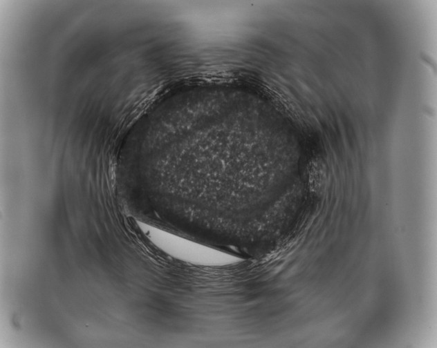 X0000097821298200804111006