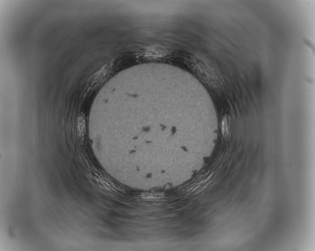 X0000097821299200804111006