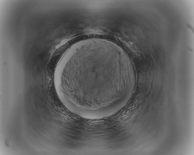 X0000097821303200804111006