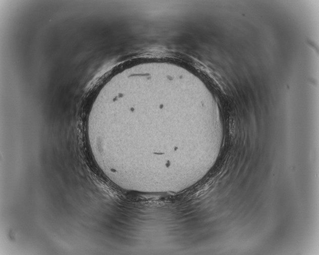 X0000097821304200804111006