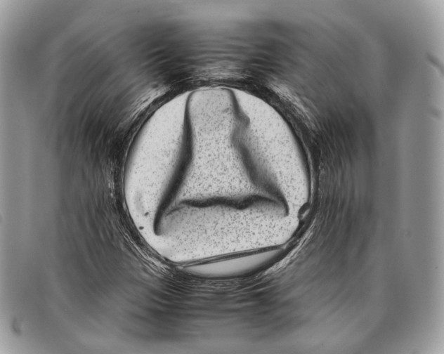 X0000097821305200804111006