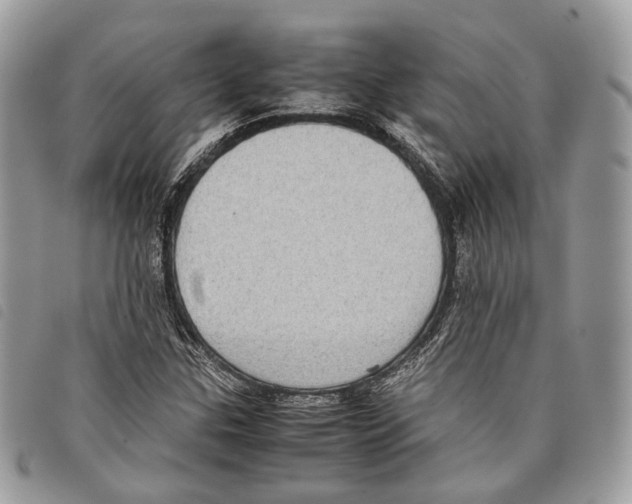 X0000097821307200804111006