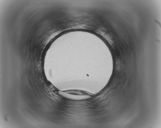 X0000097821308200804111006