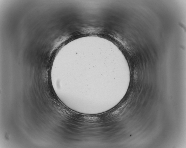 X0000097821309200804111006