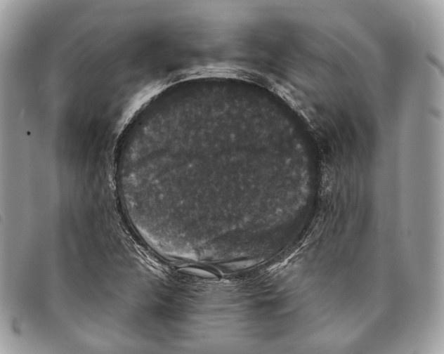 X0000097821312200804111006