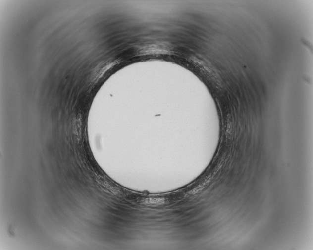 X0000097821313200804111006