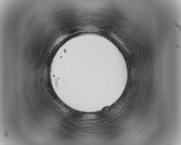 X0000097821315200804111006