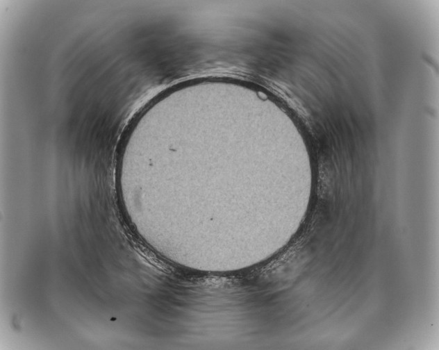 X0000097821316200804111006