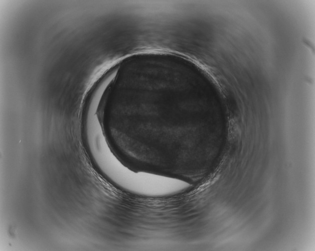 X0000097821319200804111006