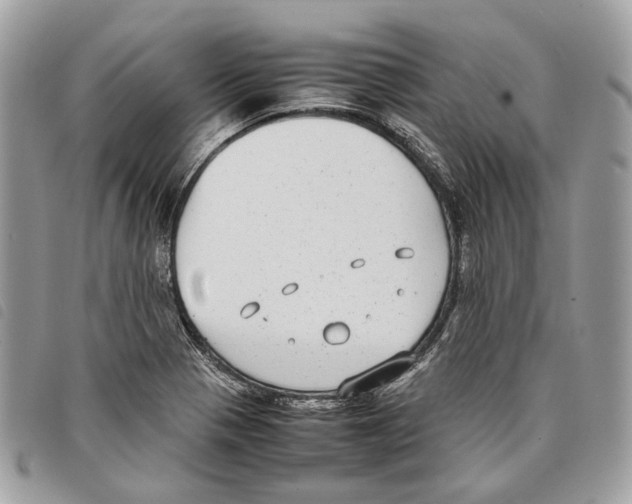 X0000097821321200804111006