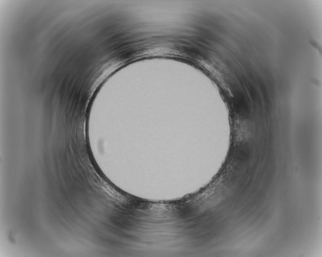 X0000097821322200804111006