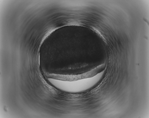 X0000097821323200804111006