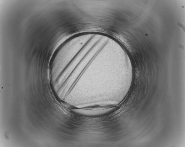 X0000097821324200804111006