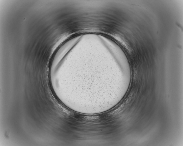 X0000097821325200804111006