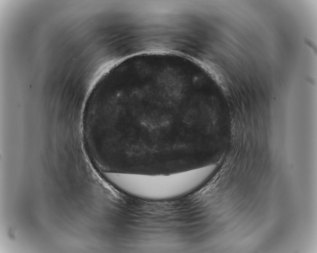 X0000097821327200804111006