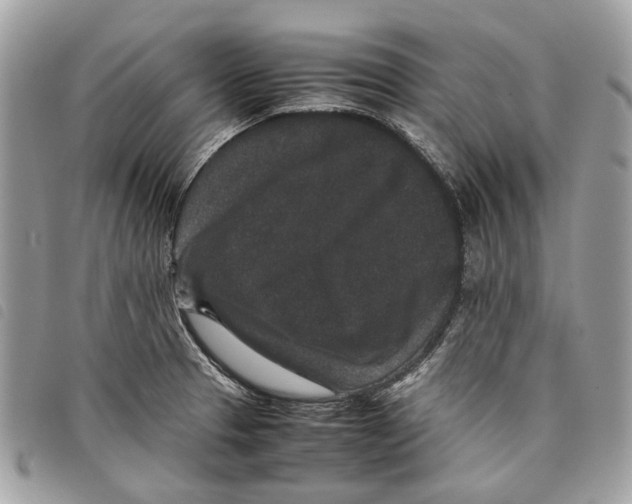 X0000097821329200804111006