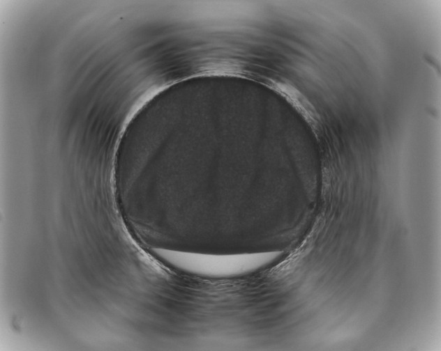 X0000097821331200804111006