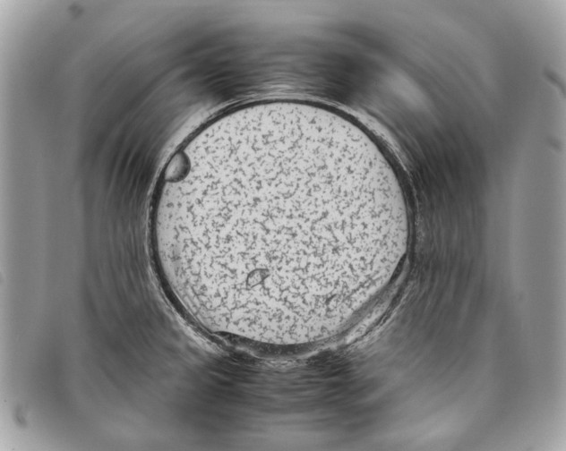 X0000097821333200804111006