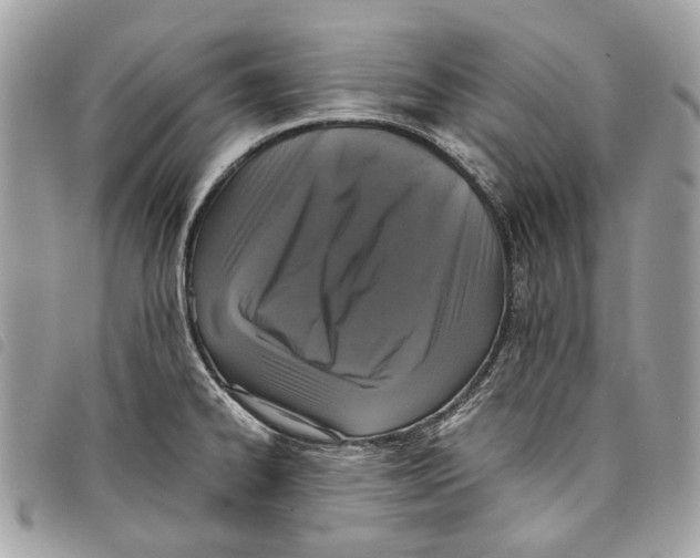 X0000097821334200804111006