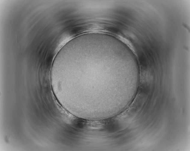 X0000097821338200804111006