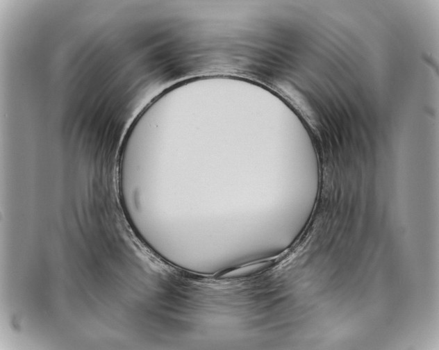 X0000097821340200804111006