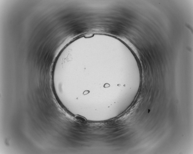 X0000097821341200804111006