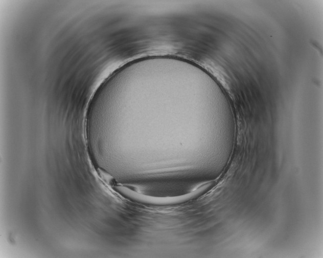 X0000097821342200804111006