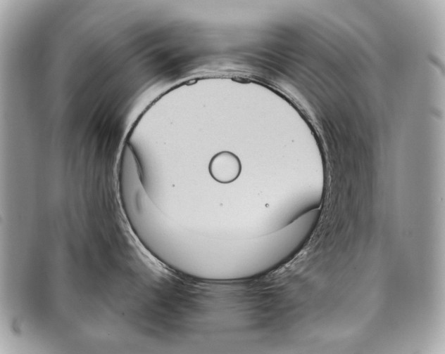 X0000097821344200804111007