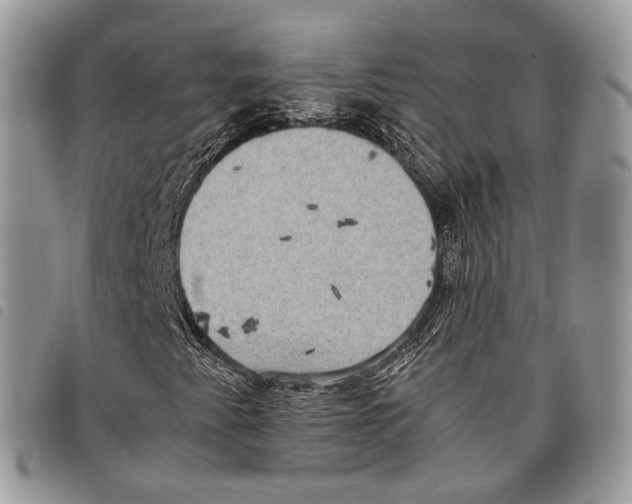 X0000097821345200804111006