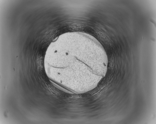 X0000097821346200804111006