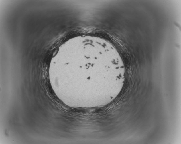 X0000097821349200804111006