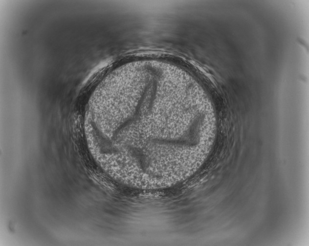 X0000097821351200804111006