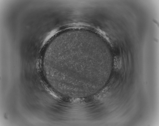 X0000097821352200804111006