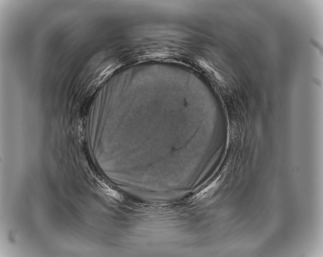 X0000097821353200804111006