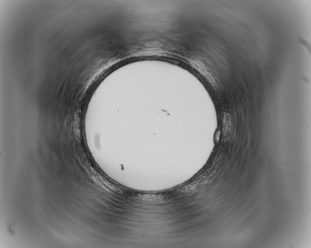 X0000097821356200804111006