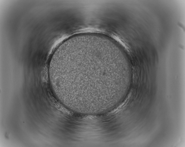 X0000097821358200804111006