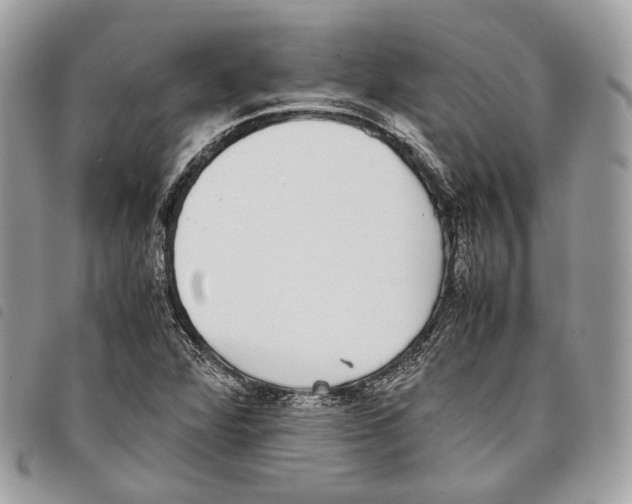 X0000097821360200804111006