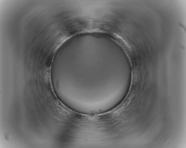 X0000097821361200804111006