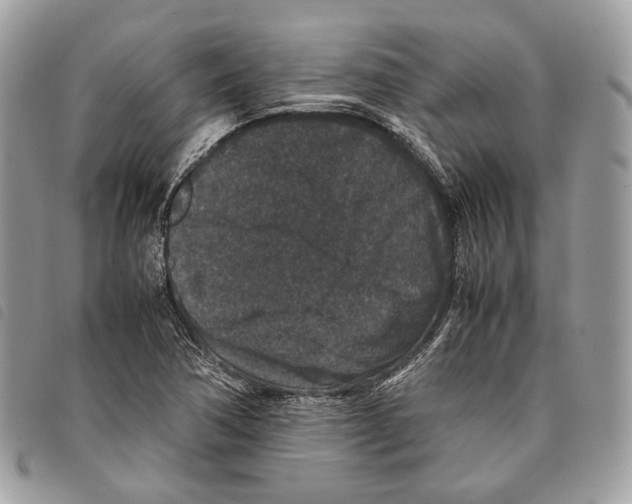 X0000097821362200804111006